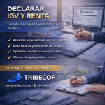 declarar igv y renta en perú guía práctica para empresas y personas naturales
