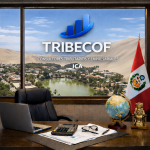 estudio contable en ica servicios contables y tributarios para empresas y emprendedores