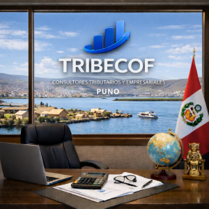 contadores en puno servicios contables y tributarios para empresas y mypes